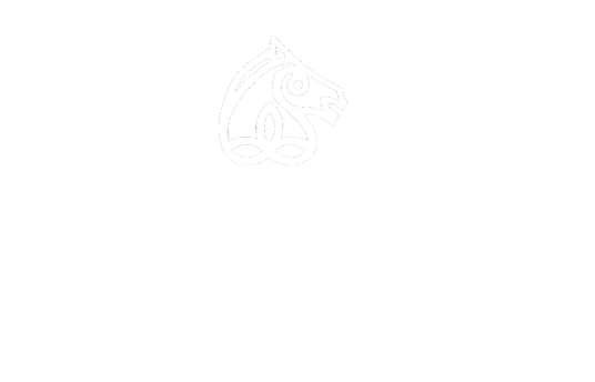Irish Horse Board Co-Operative Society