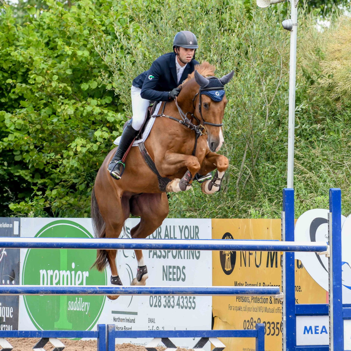 Dublin Horse Show qualifier at the Meadows Equestrian Centre Irish