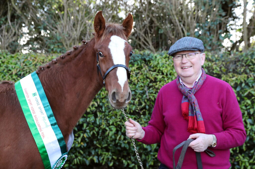 Dr Noel Cawley - foal championships 2020