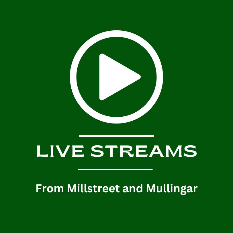 IHB Live Featuring live feeds from Mullingar and Millstreet Irish